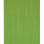 Rolete cu arc A 2370 006 - rulouri interioare