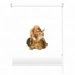 Rolete imprimate 17 mm COD 1841243 - rolete geam