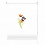 Rolete imprimate 17 mm COD 5282237 - rolete geam