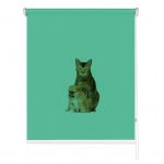 Rolete imprimate 17 mm COD A 2221 305 1841215 - rolete geam