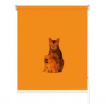 Rolete imprimate 17 mm COD A 2328 003 1841215 - rolete geam
