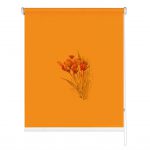 Rolete imprimate 17 mm COD A 2328 003 5282266 - rolete geam