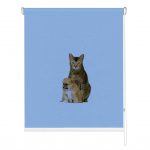 Rolete imprimate 17 mm COD A 2328 008 1841215 - rolete geam