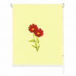 Rolete imprimate 17 mm COD A 2328 049 1378972 - rolete geam