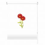 Rolete imprimate 25 mm COD 1378972 - rolete textile