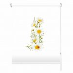 Rolete imprimate 25 mm COD 4102393B - rolete textile