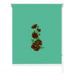 Rolete imprimate 25 mm COD A 2221 305 4102393 - rolete textile