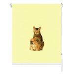 Rolete imprimate 25 mm COD A 2328 049 1841215 - rolete textile